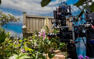 3D & Immersive Studio | Stereoscopic Production & Kit
